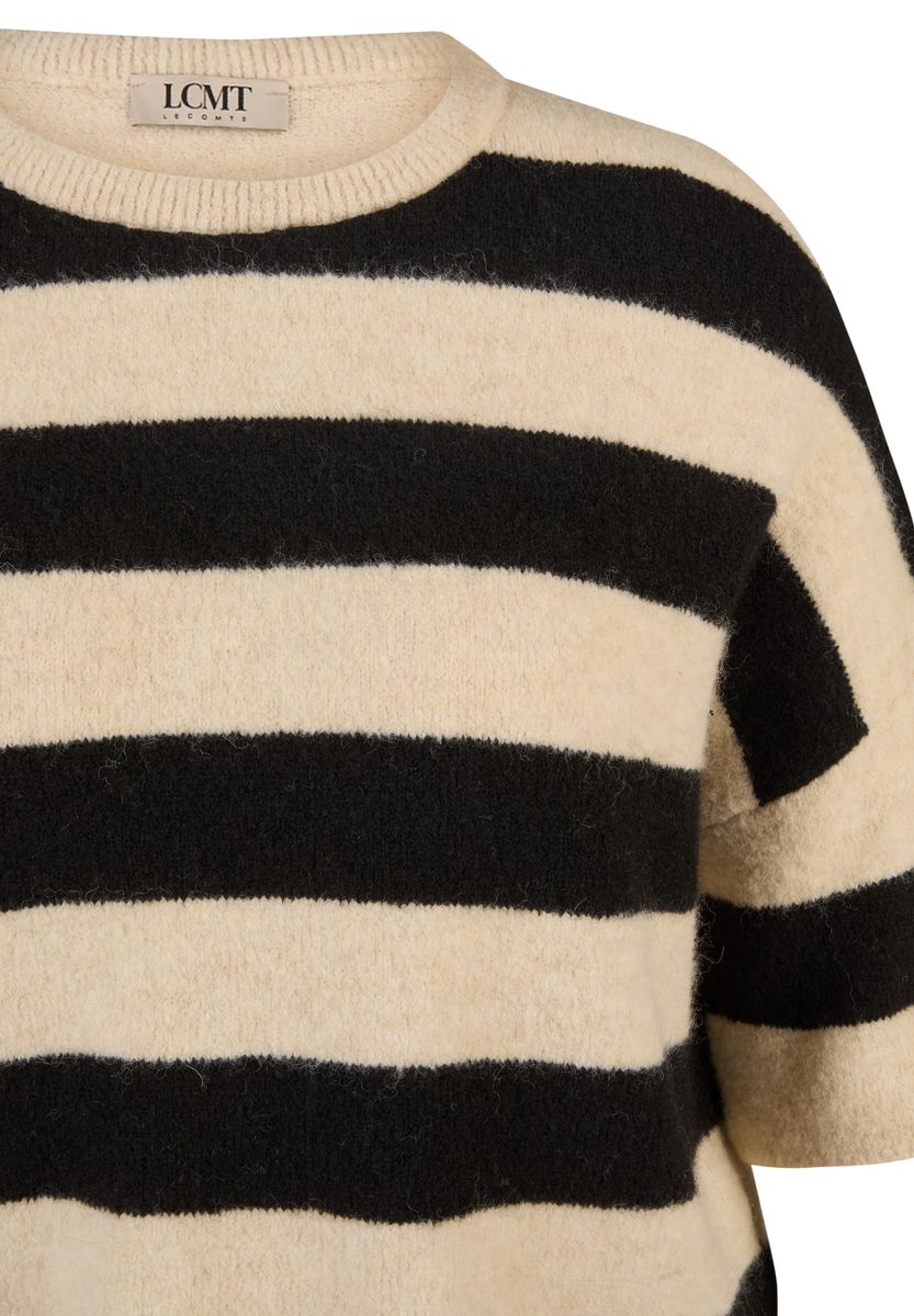 Zebra Noir