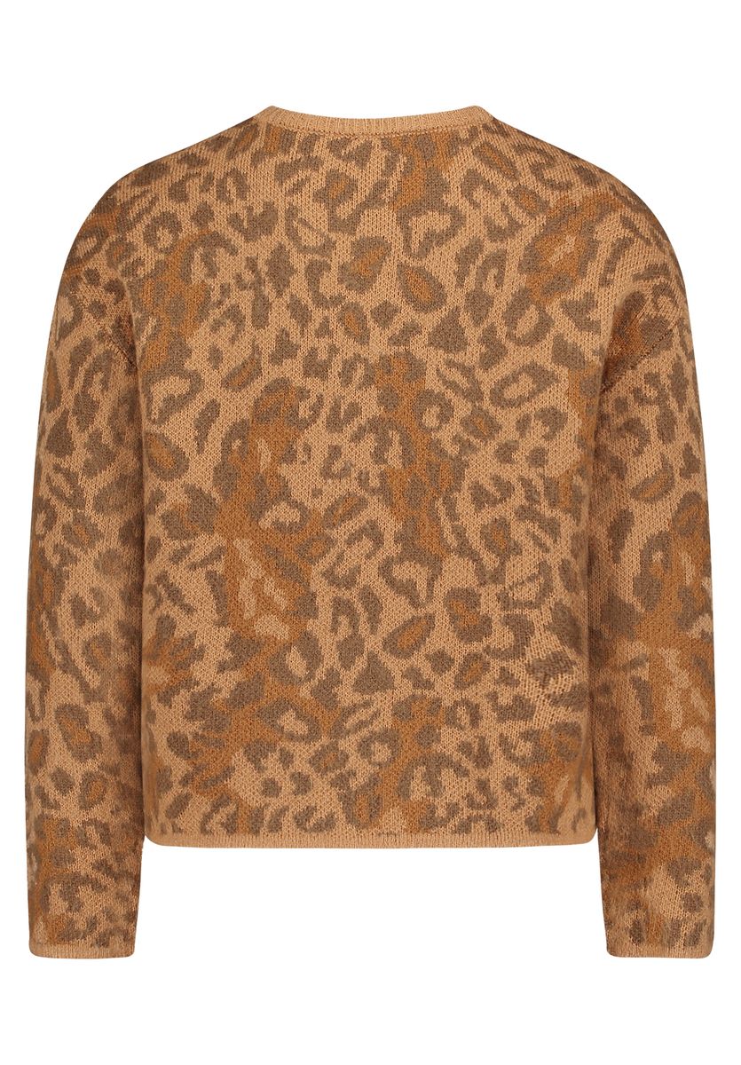 Strick-Cardigan