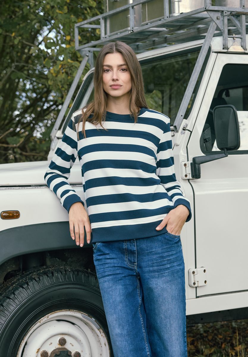 Gestreiftes Sweatshirt