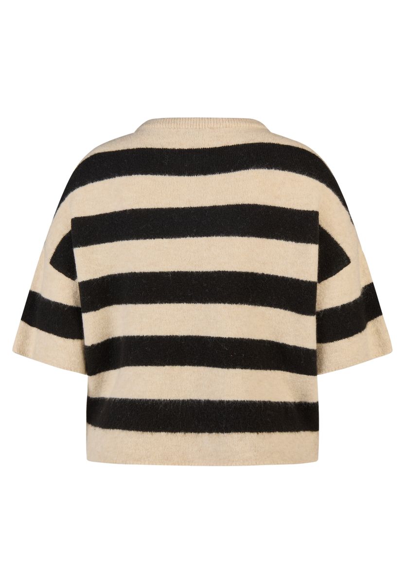 Zebra Noir
